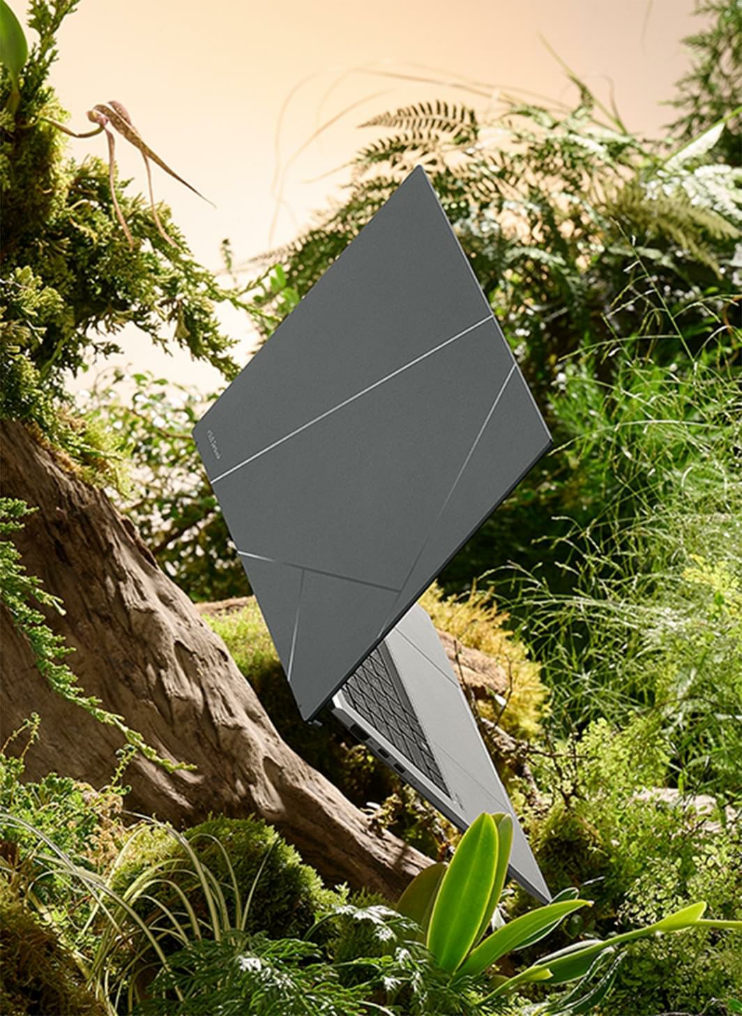 Zenbook S 13 OLED được đặt trong rừng.