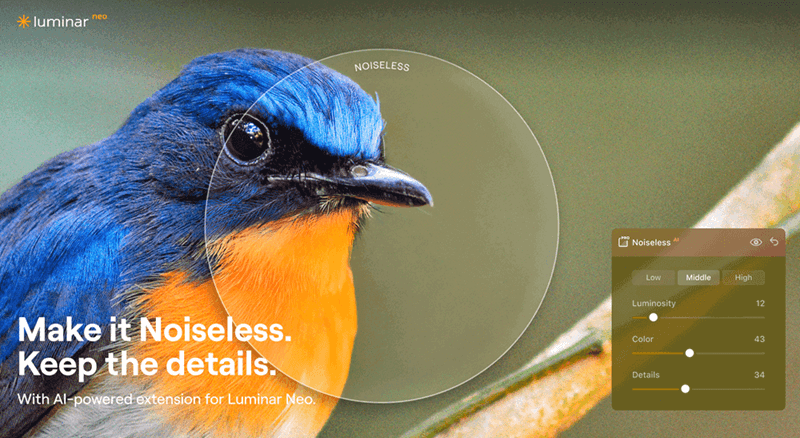 Hình ảnh đỉnh cao mê hoặc thị giác người dùng với Dell 16 Premium DA16250