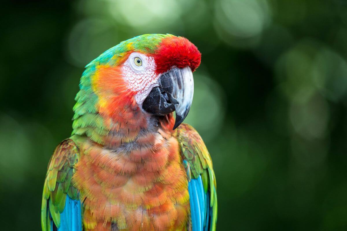 Lenovo Slim 7 14ILL10 mang đến trải nghiệm hình ảnh sắc nét