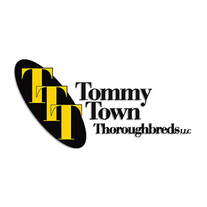 Thương hiệu : Tommy Town
